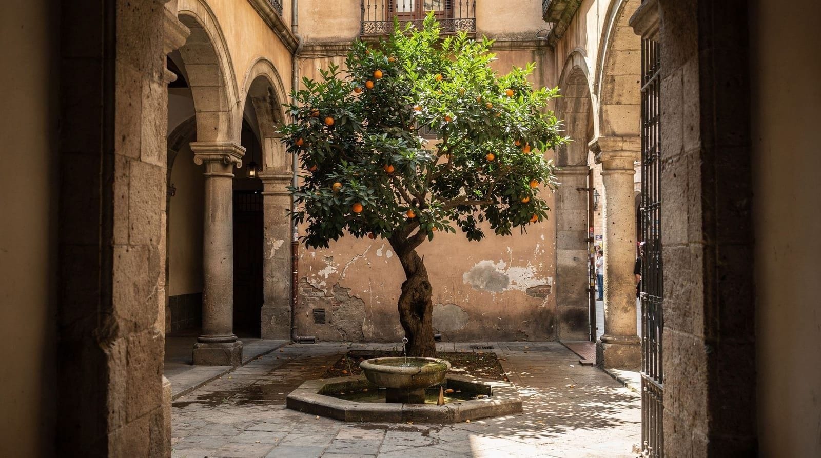Hidden gems in Barcelona most tourists miss — Ten Barcelona spots that most tourists walk past — from free hilltop panoramas t
