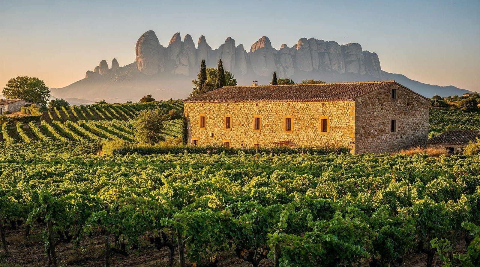 Penedès: Codorníu discovery tour with cava tasting